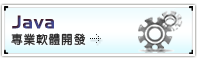 Java專業軟體開發